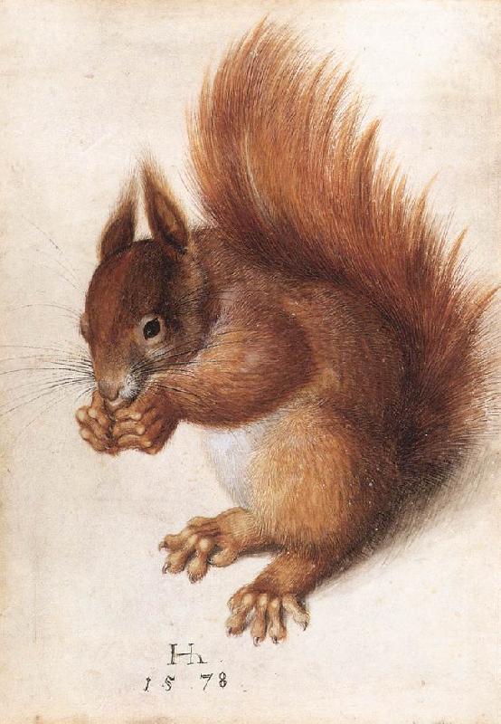 HOFFMANN, Hans Squirrel wf Germany oil painting art